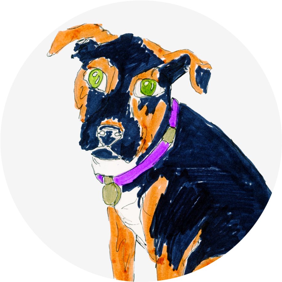 Colorful Dog Sketch Artwork PNG