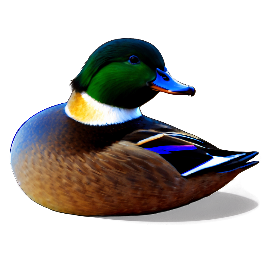 Colorful Duck Drawing Png 05032024 PNG