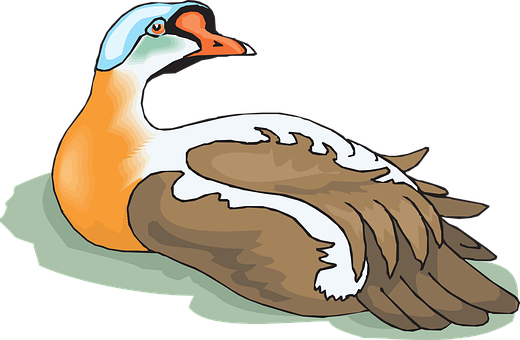 Colorful Duck Illustration PNG