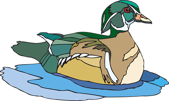 Colorful Duck On Water Illustration PNG