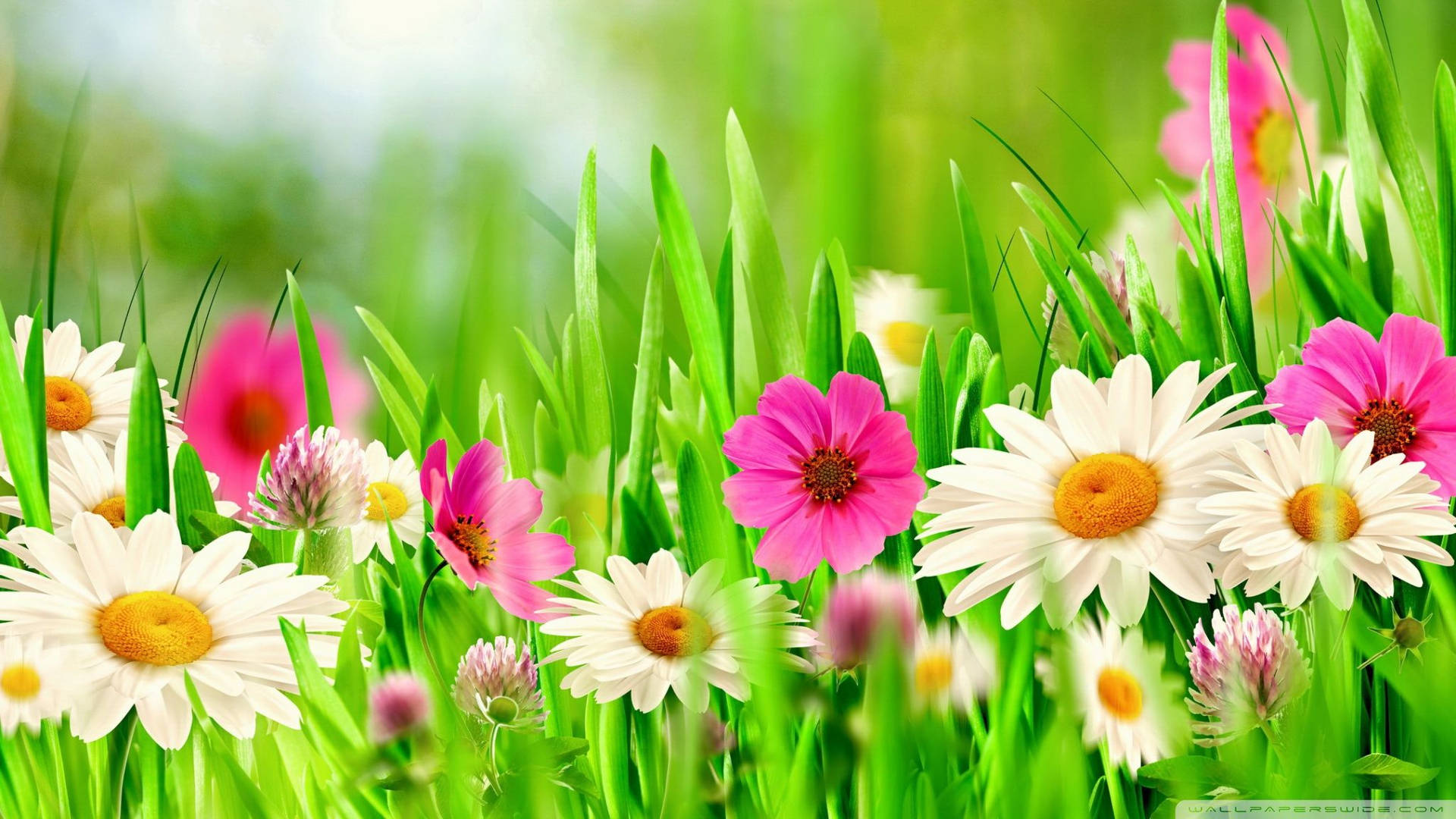 Celebrate Easter with a bouquet of colorful flowers Wallpaper