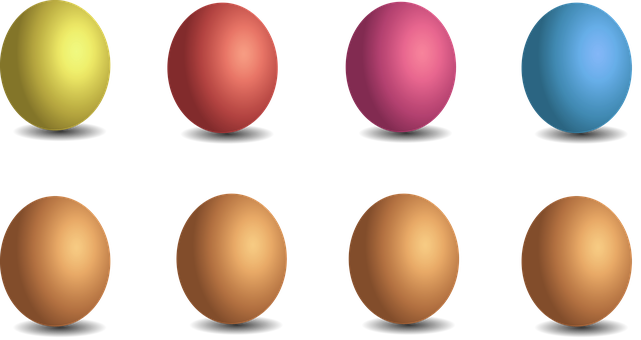 Colorful Egg Collection PNG