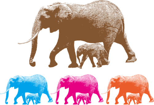 Colorful Elephant Family Silhouettes PNG