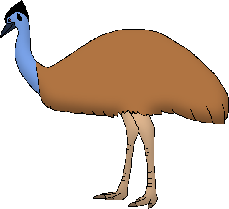 Colorful Emu Illustration PNG
