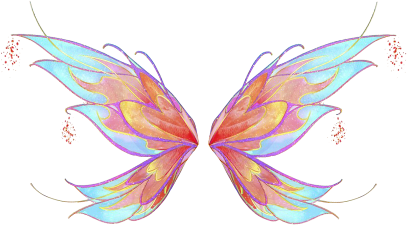 Colorful Fairy Wings Illustration PNG