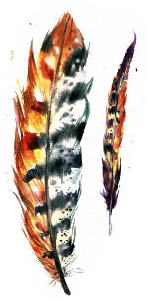 Colorful Feather Artwork.png PNG