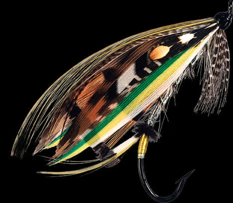 Colorful Feather Fishing Fly PNG