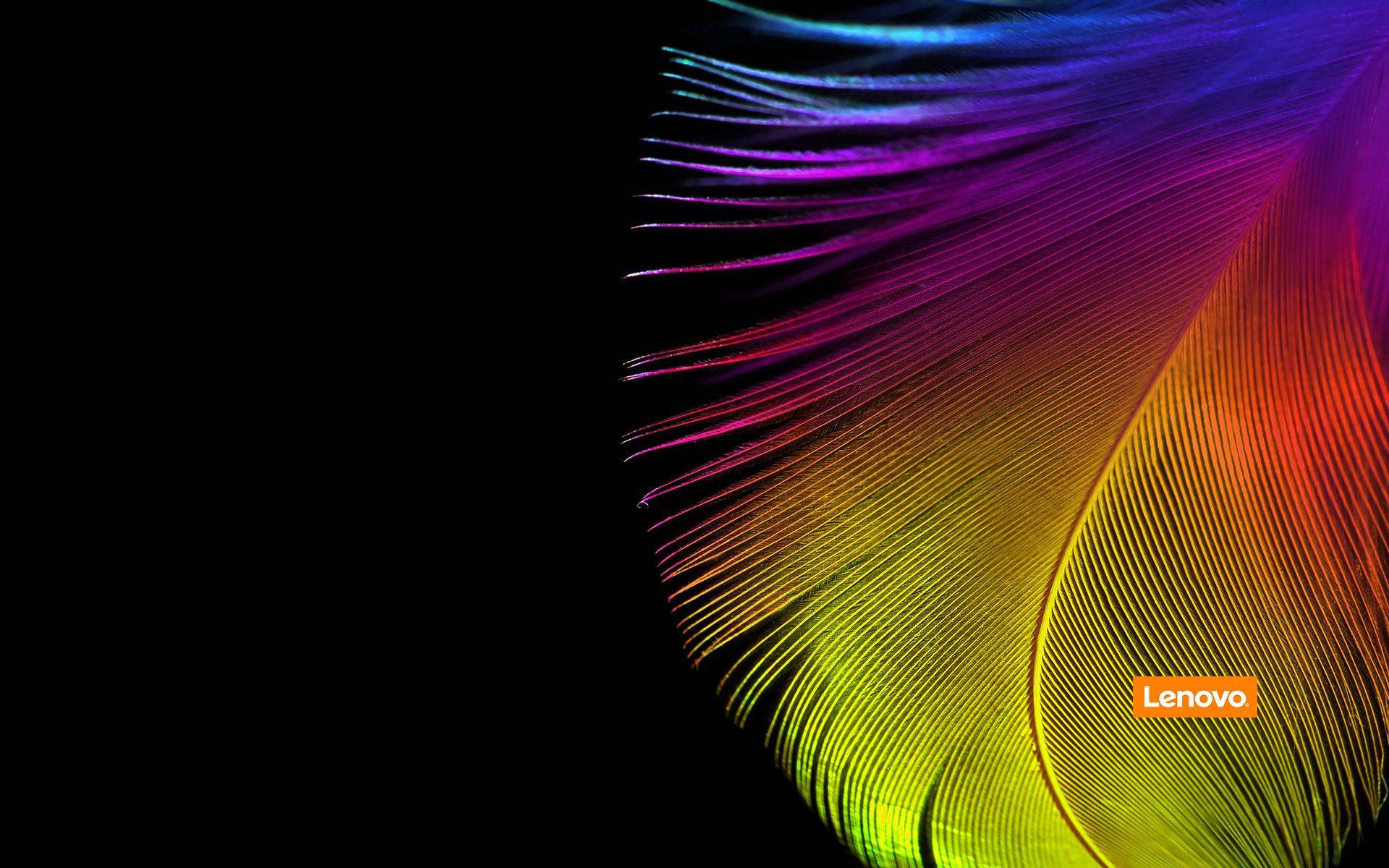 Colorful Feather Yoga Lenovo Official Wallpaper