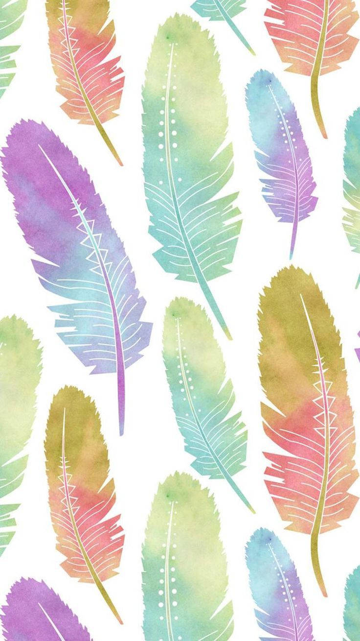 Colorful Feathers For Girl Phone Theme Wallpaper