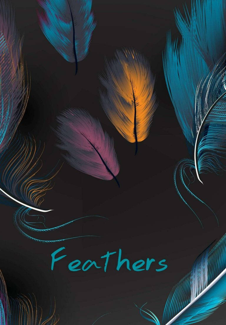 Colorful Feathers Ipad 2021 Background
