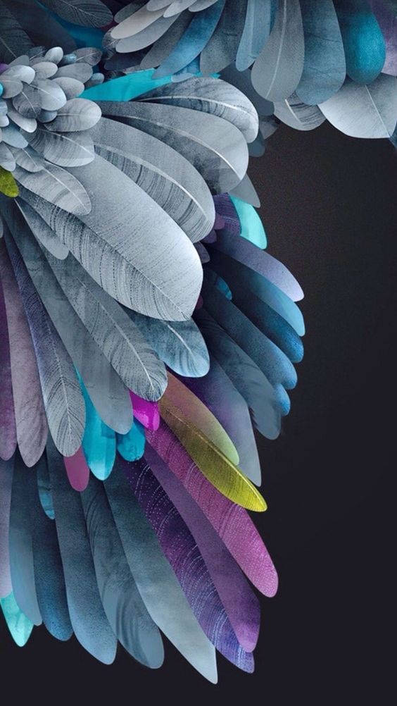 Wallpaper 4k Feathers in Colors Wallpaper