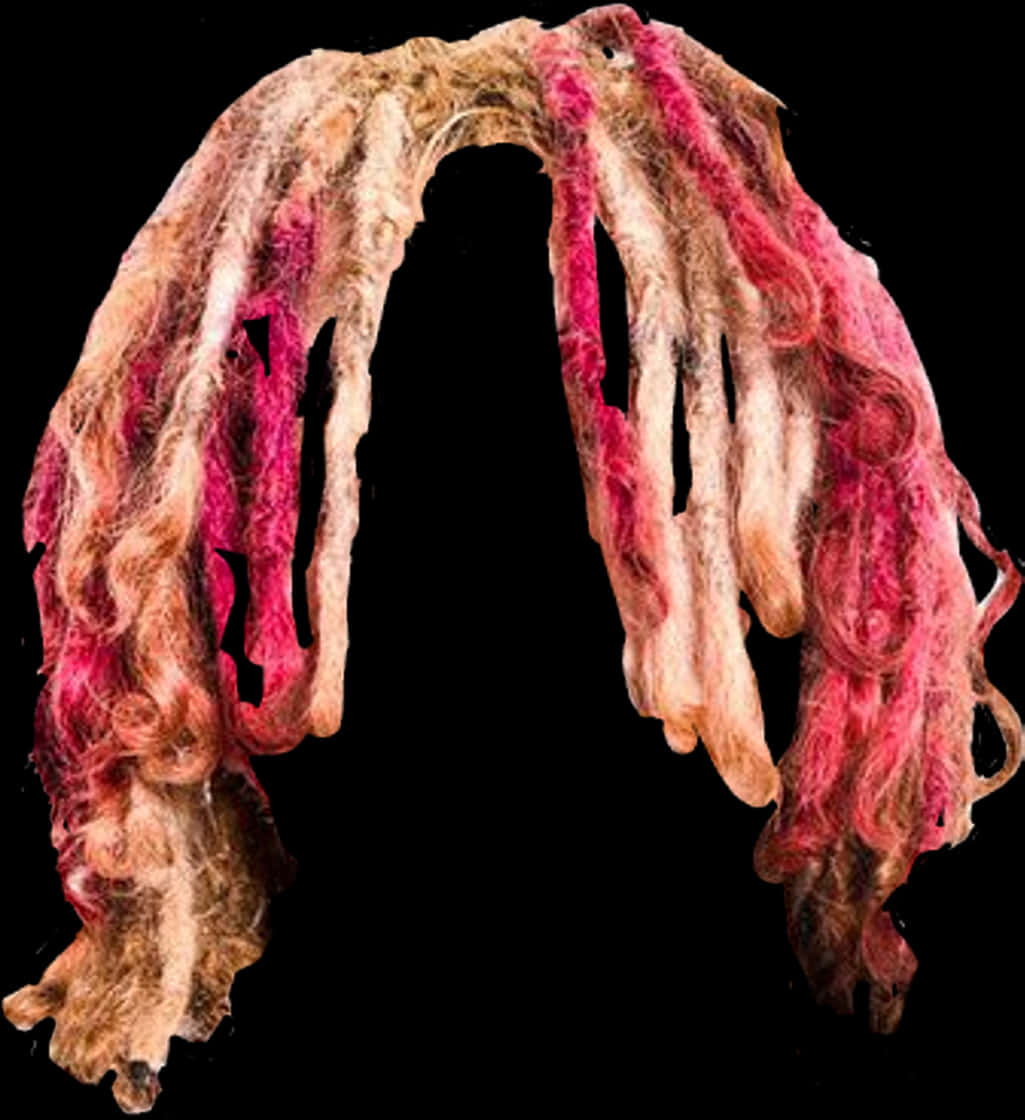 Colorful Felted Dreadlocks PNG