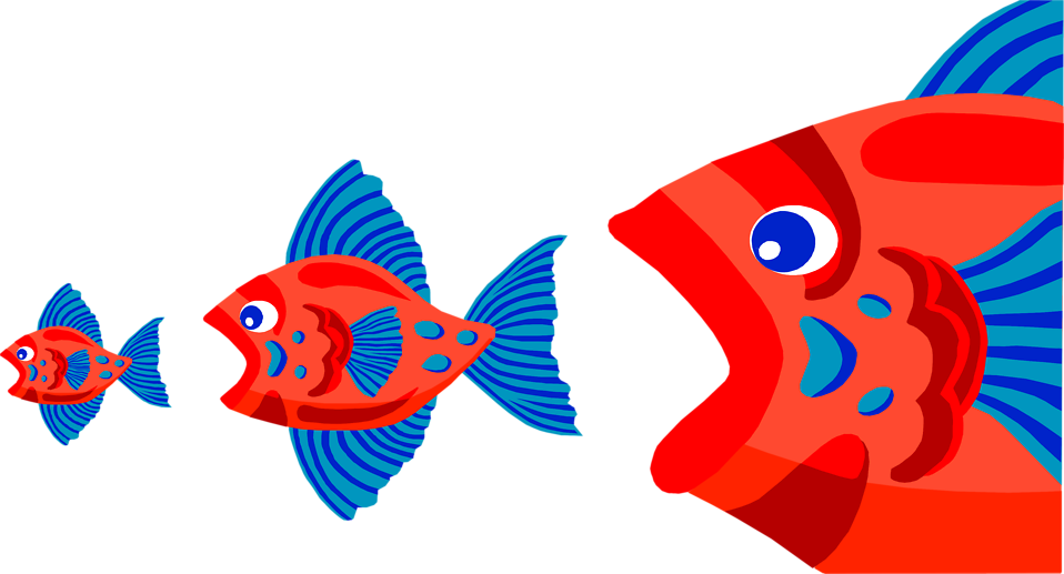 Colorful Fish Cartoon Illustration PNG
