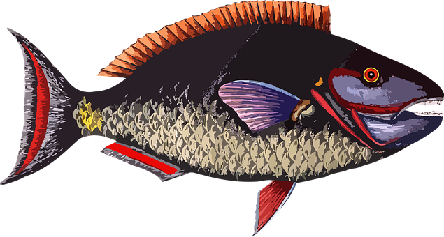 Colorful Fish Illustration PNG
