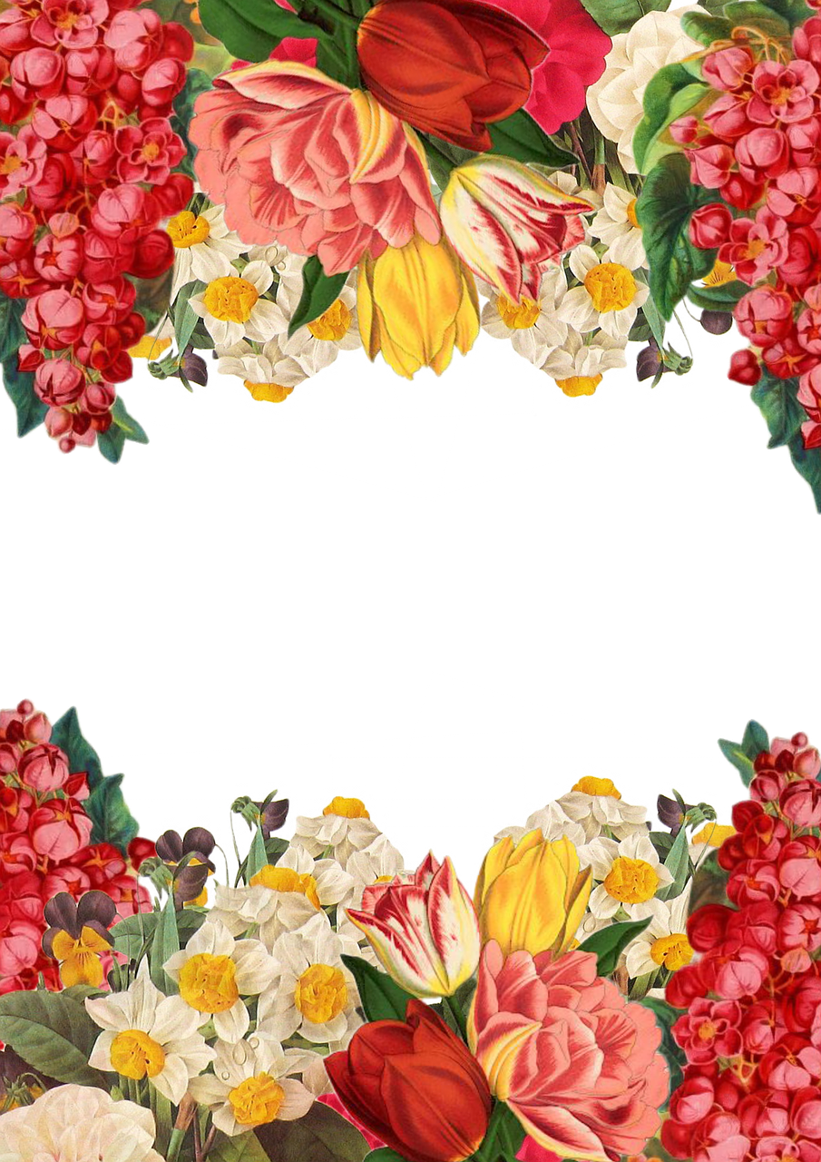 Colorful_ Floral_ Arrangement_ Frame PNG