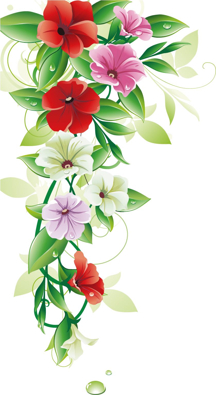 Colorful Floral Arrangement Graphic PNG