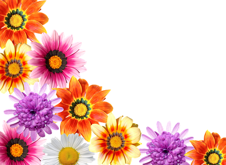 Colorful Floral Arrayon Black Background PNG