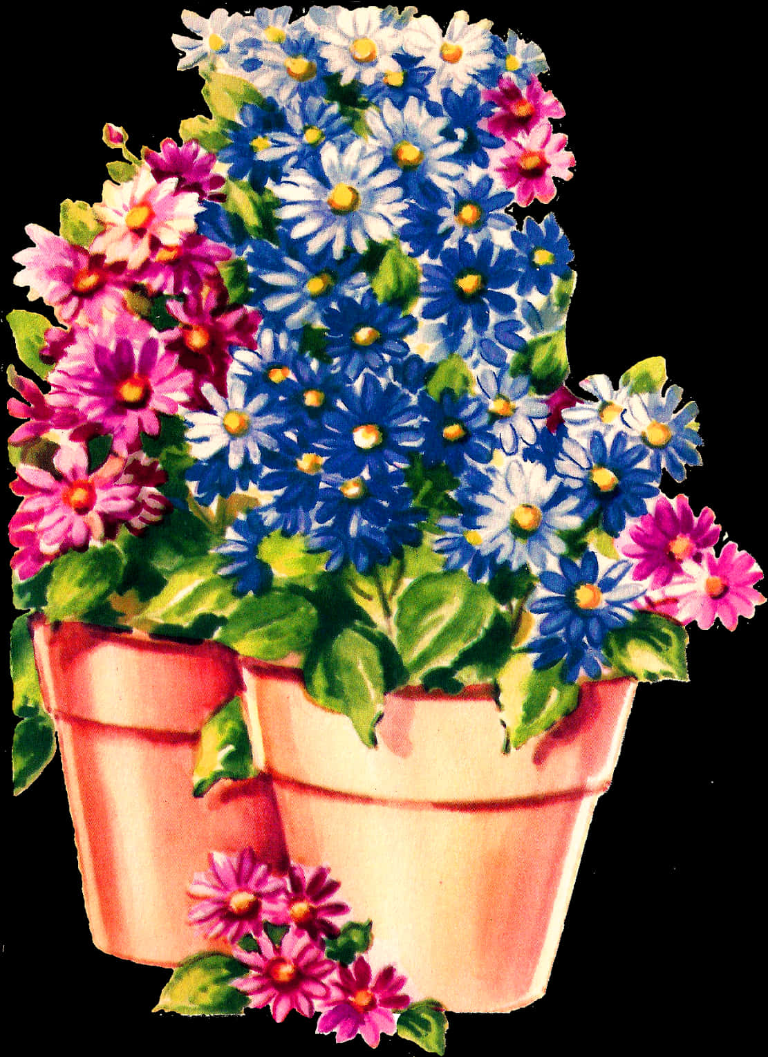 Colorful Floral Displayin Clay Pot PNG