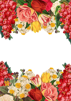 Colorful Floral Frame Black Background PNG