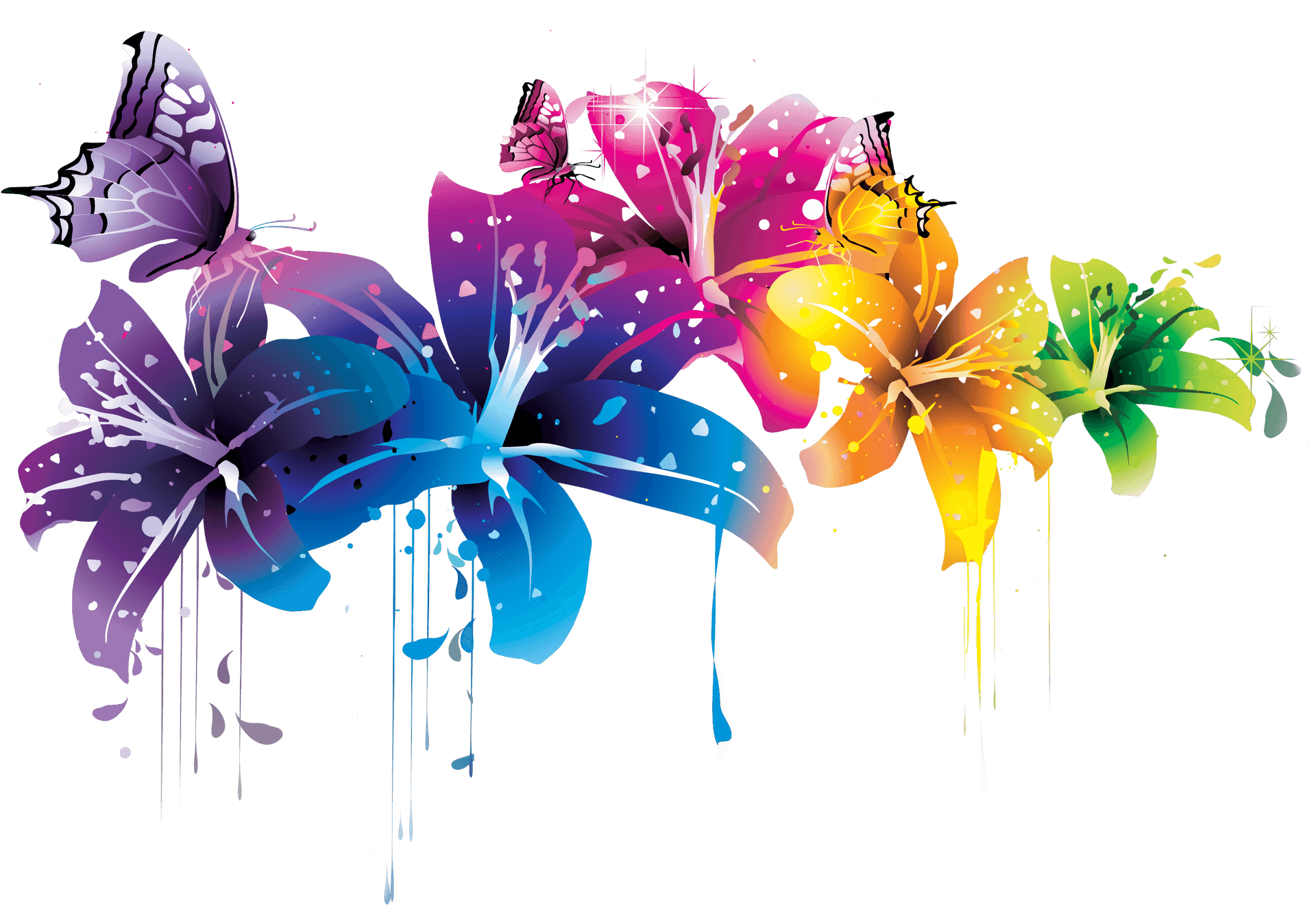 Colorful Floral Vectorwith Butterflies PNG