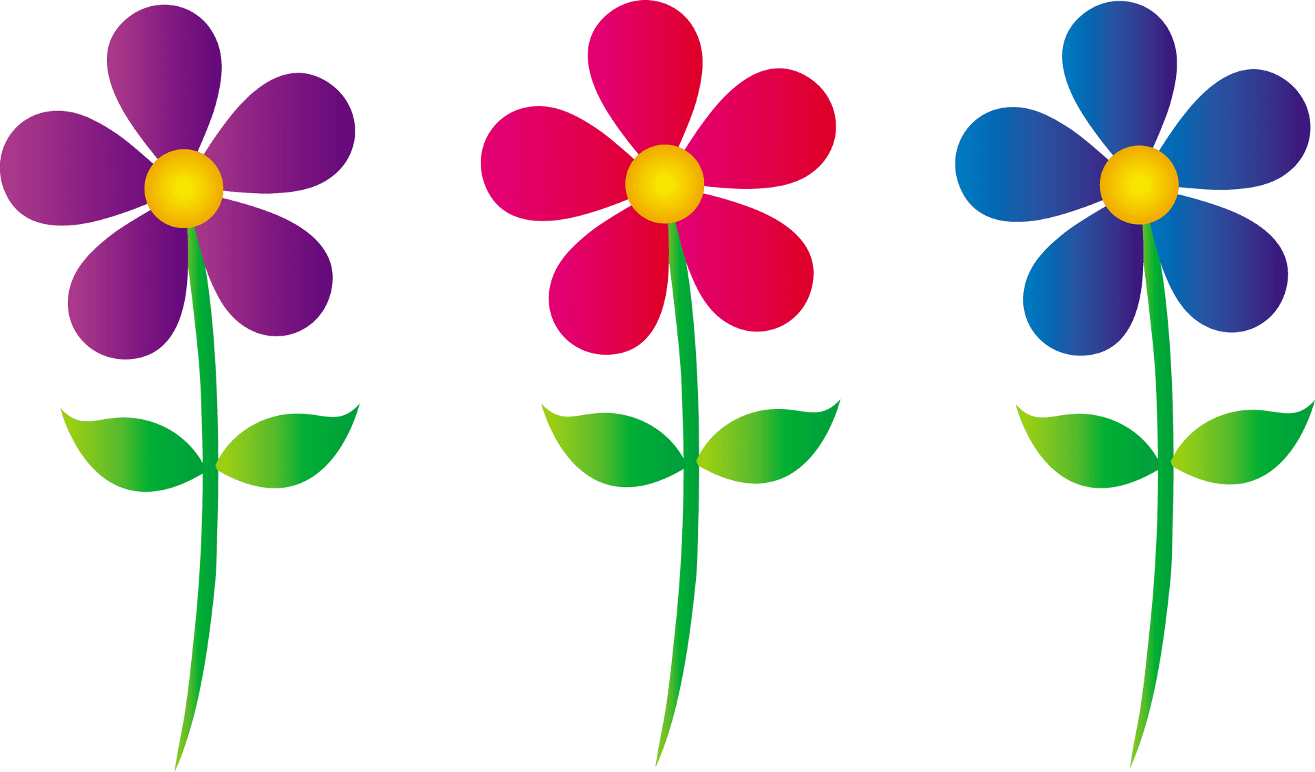Colorful Flower Clipart Trio PNG