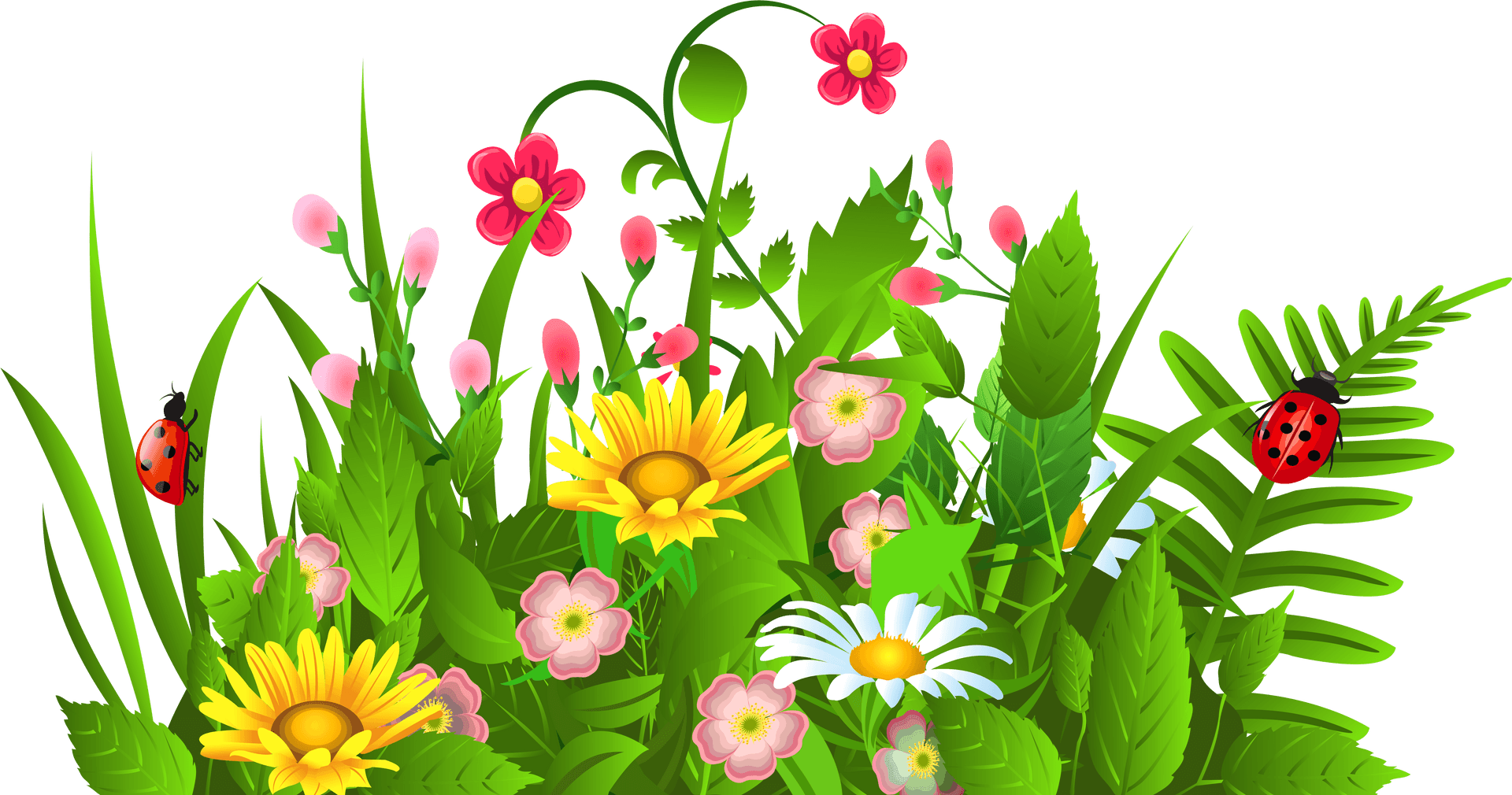 Colorful Flower Meadow Clipart PNG