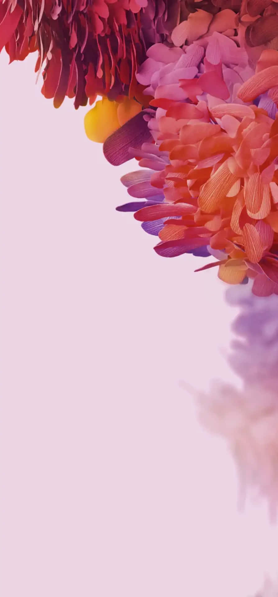 Colorful Flower Petals Gradient Background Wallpaper