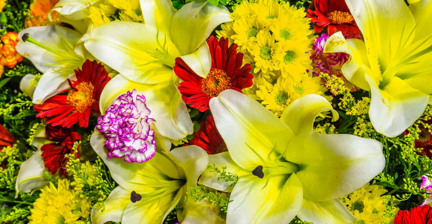 Vibrant and Enchanting Colorful Flowers Wallpaper