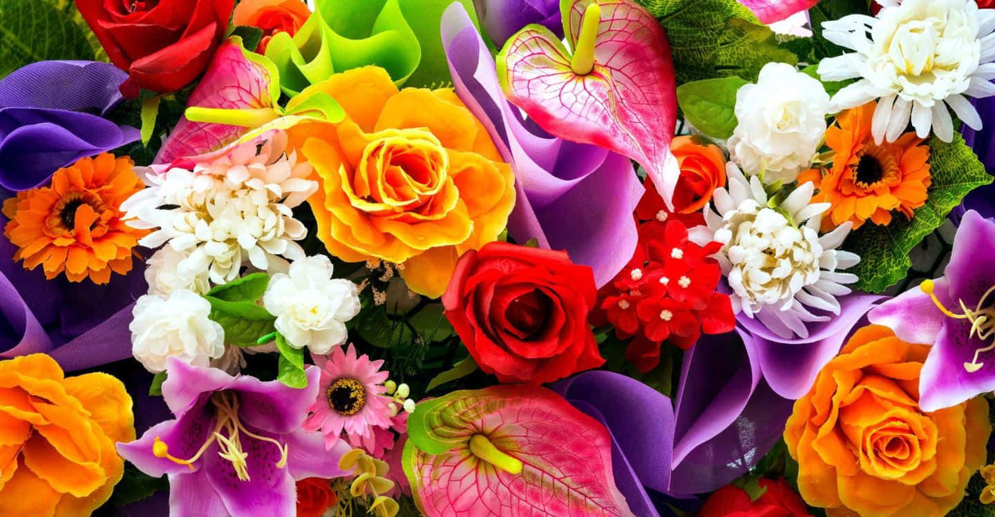 Download Vibrant and Colorful Flower Garden Wallpaper | Wallpapers.com