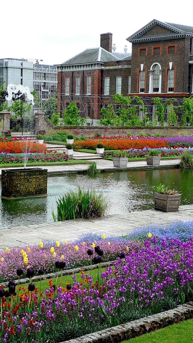 Colorful Flowers At Kensington Palace Picture