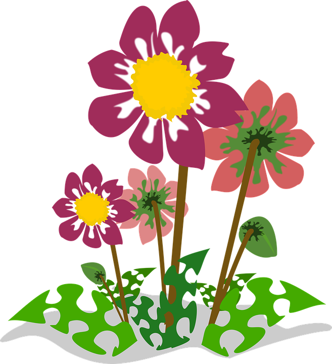 Colorful Flowers Illustration PNG