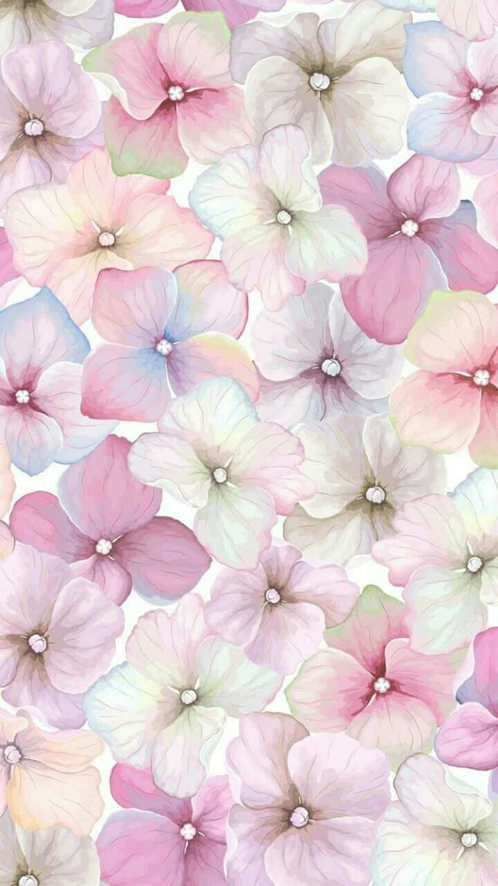 Lyse op din dag med de farverige blomster af denne iPhone tapet. Wallpaper