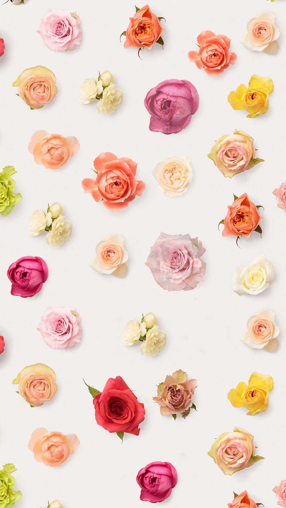 Lys op din dag med en farverig blomster iphone baggrund! Wallpaper