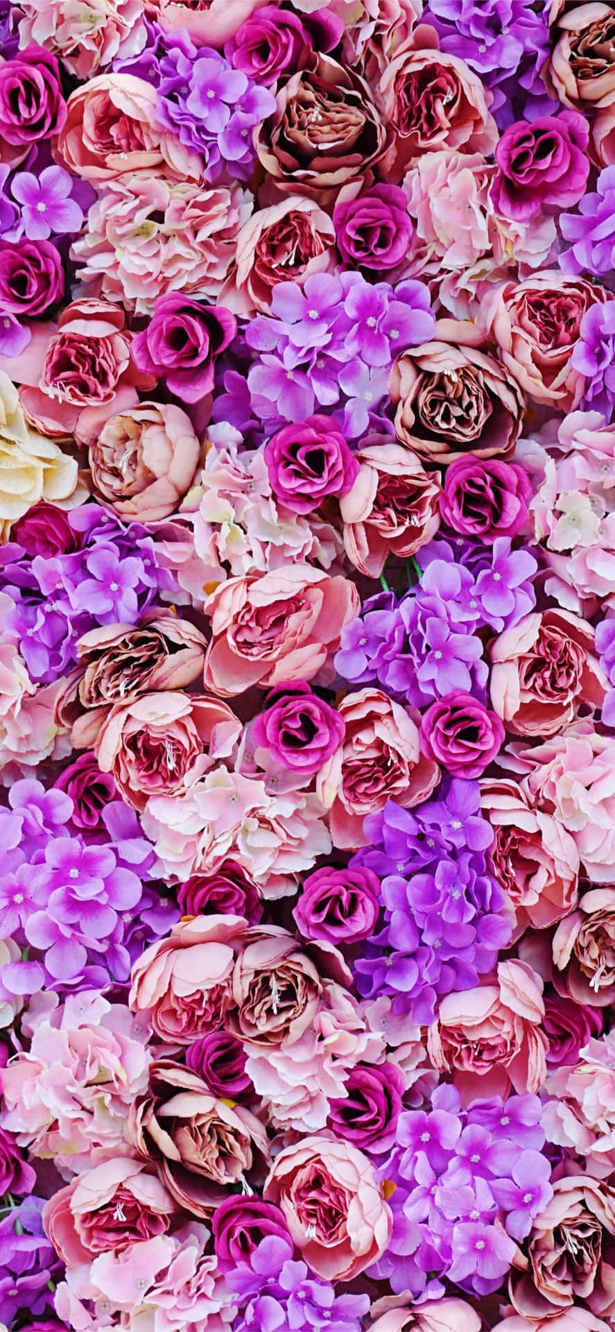 Enbunt Rosa Och Lila Blommor Wallpaper