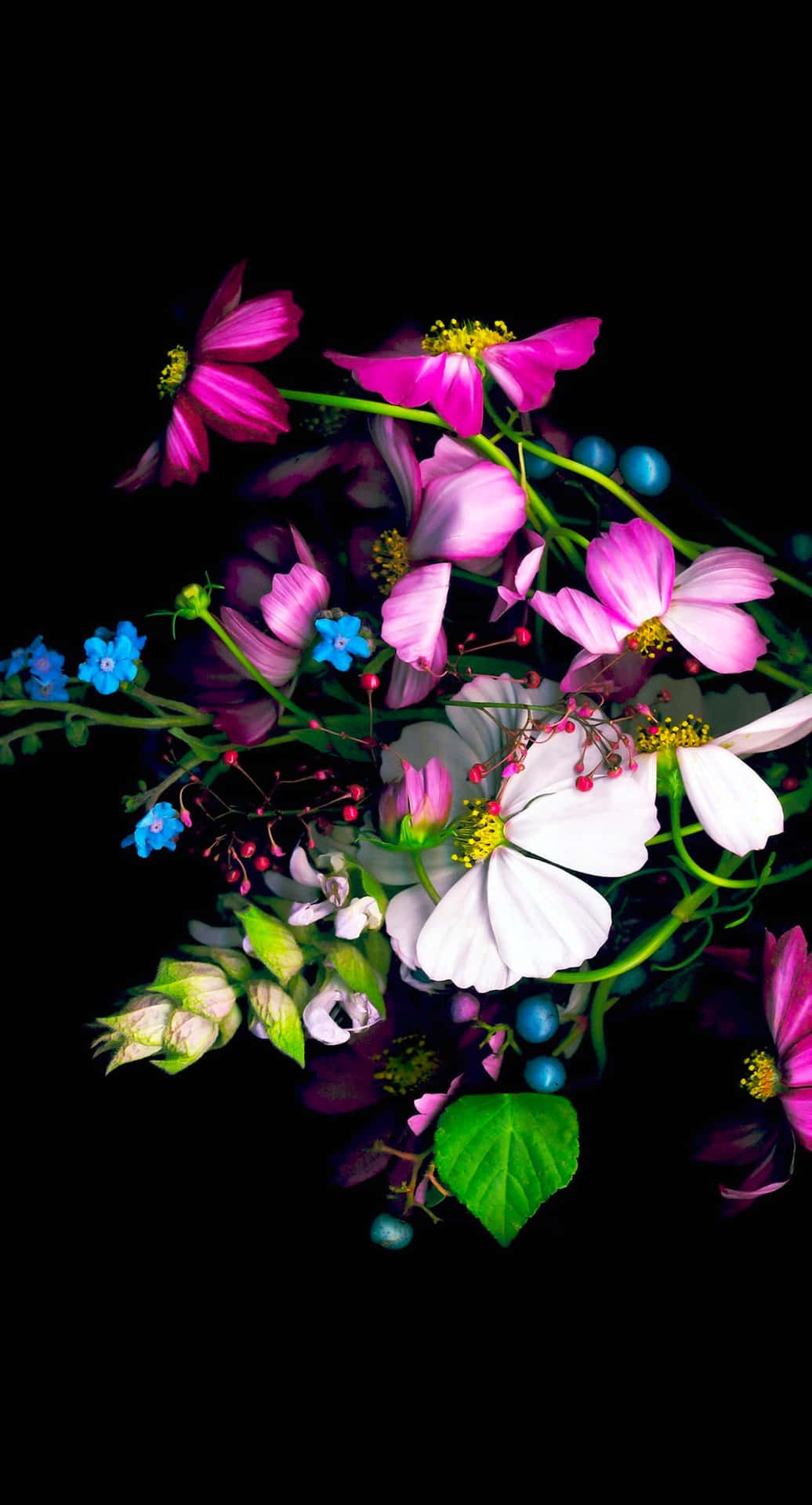 !Nyd den fortryllende skønhed af disse farverige blomster! Wallpaper