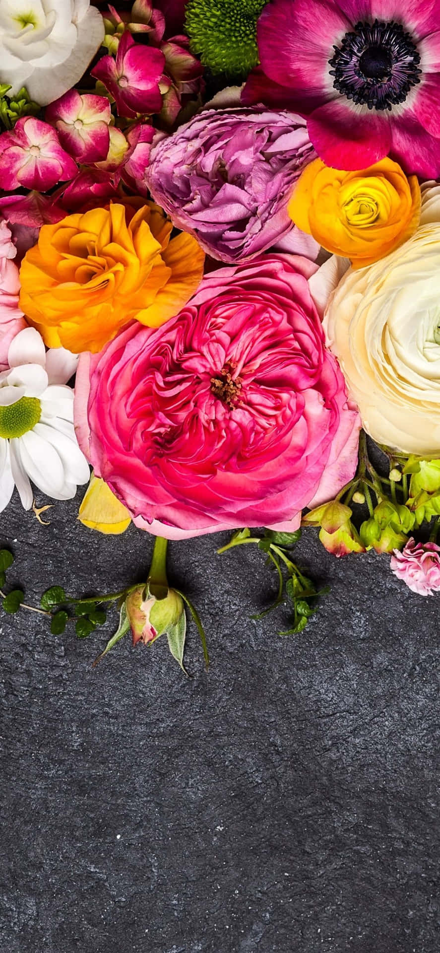 Ettfärgstarkt Trädgårdsmotiv Med Blommor För Din Iphone. Wallpaper