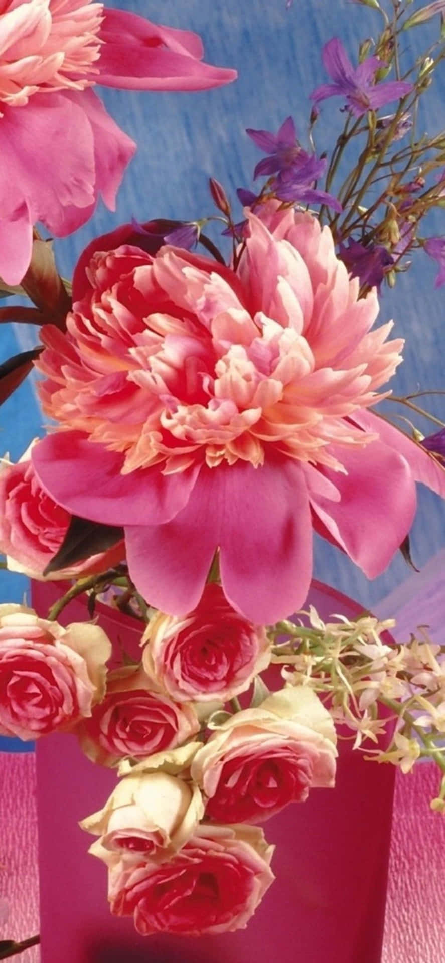 Opdag skønheden med denne farverige blomster iphone tapet. Wallpaper