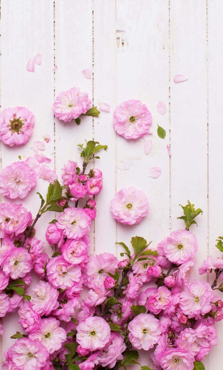 Verschöneredein Telefon Mit Lebendig Gefärbten Blumen Wallpaper