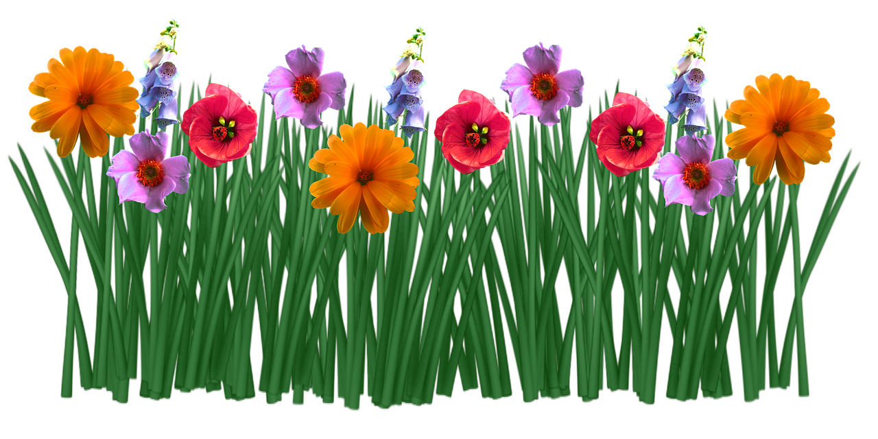 Colorful Flowers Transparent Background PNG