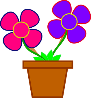 Colorful Flowersin Pot Vector Illustration PNG