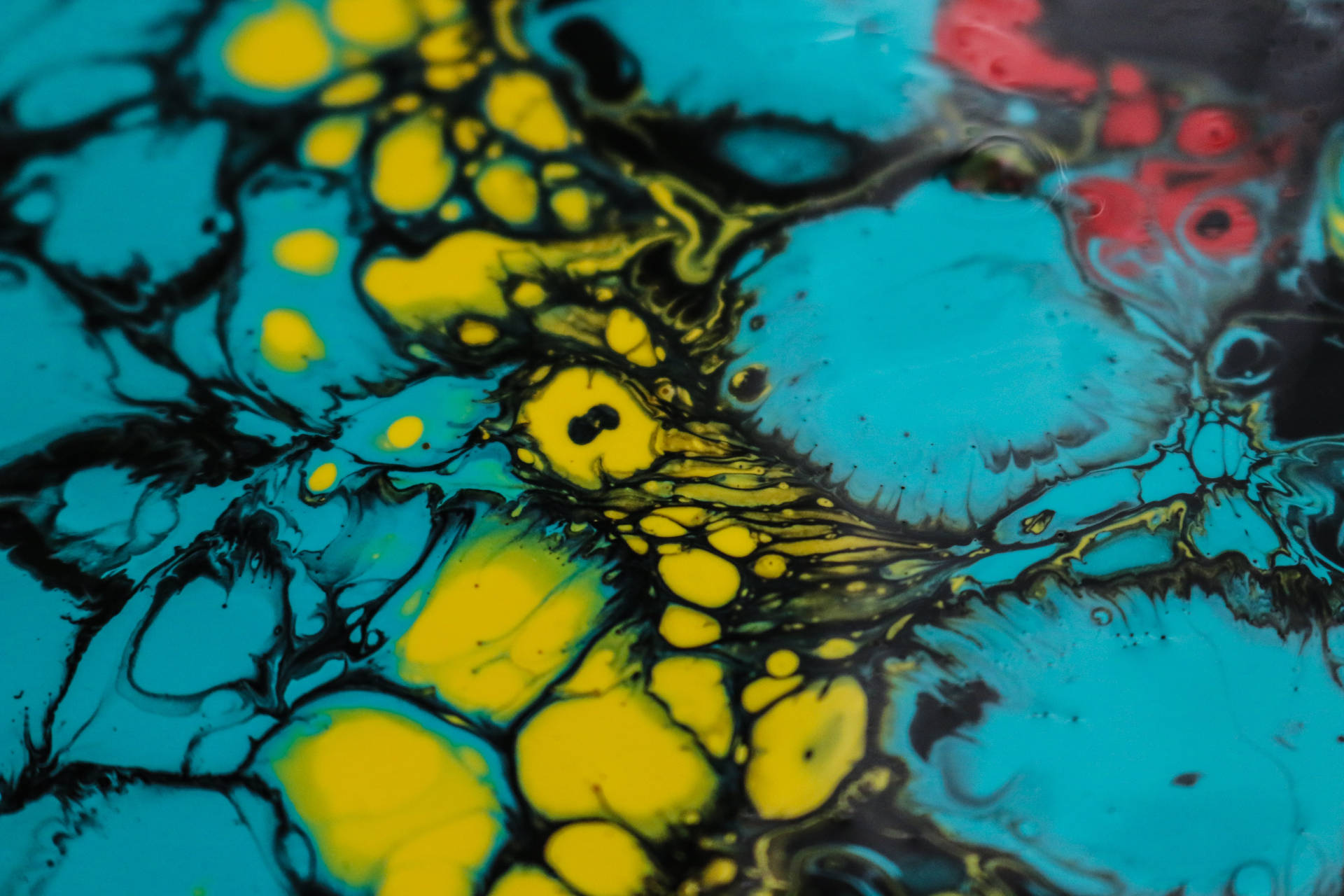 Colorful Fluid Abstract Art Wallpaper