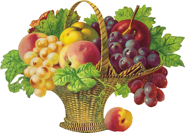 Colorful Fruit Basket Illustration PNG
