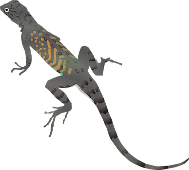 Colorful Gecko Silhouette PNG