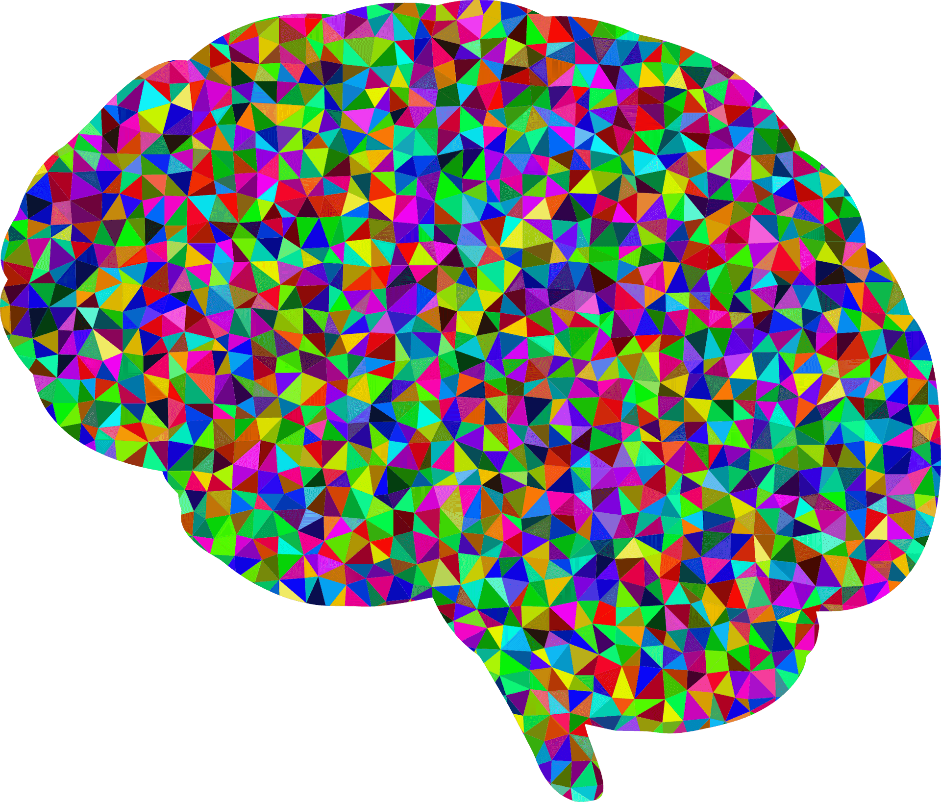 Colorful Geometric Brain Pattern PNG