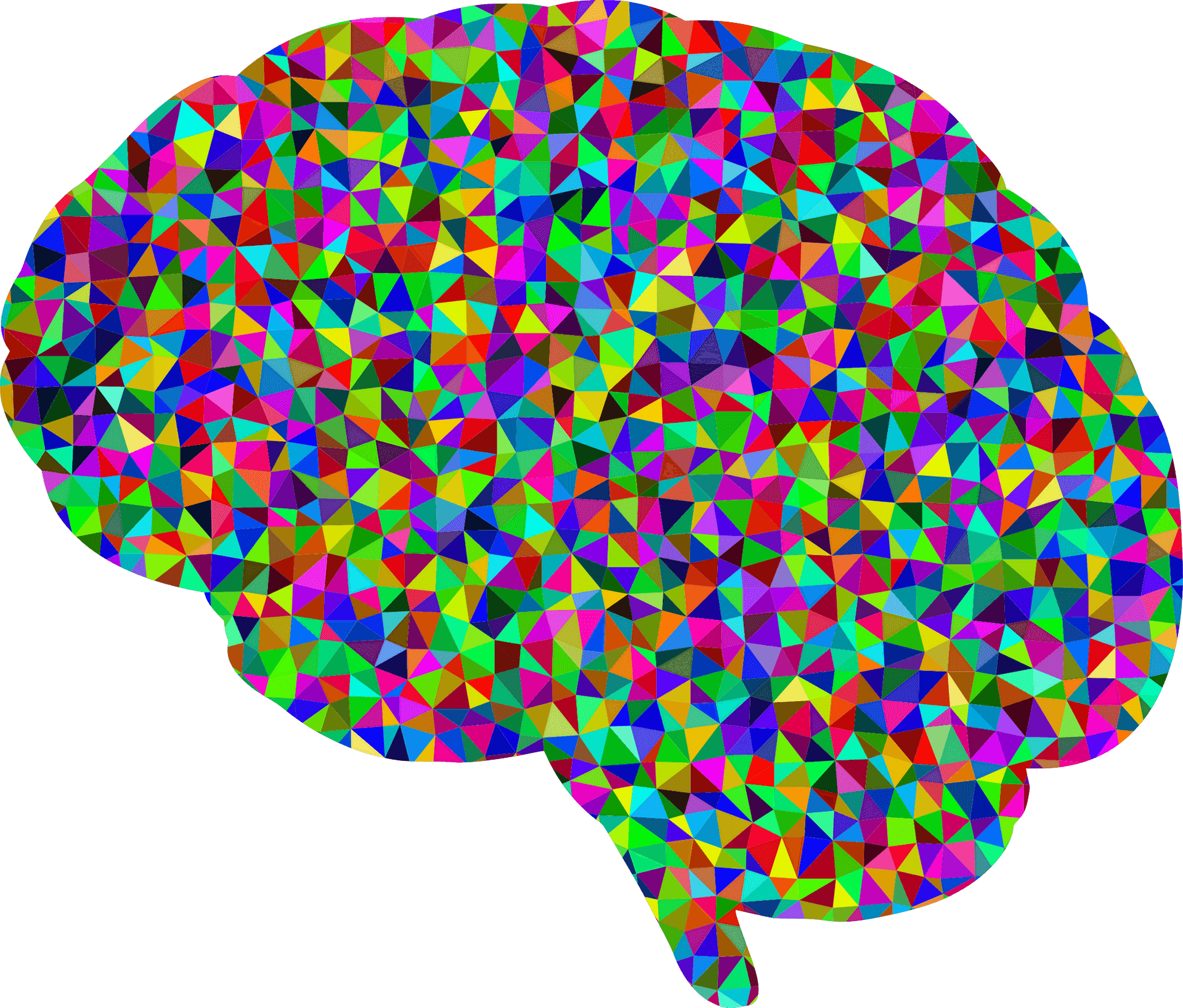 Colorful Geometric Brain Pattern PNG