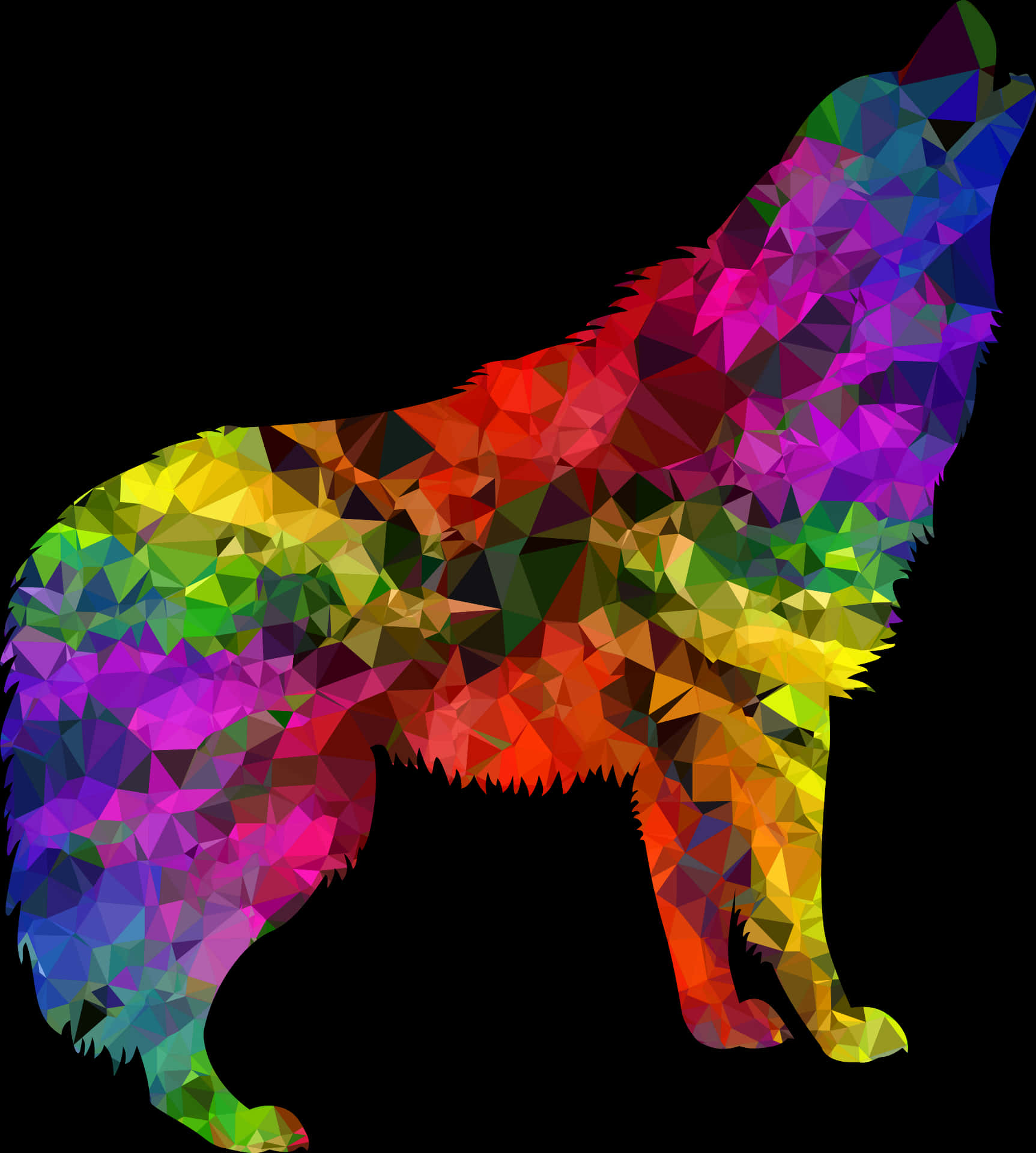 Colorful Geometric Wolf Art PNG