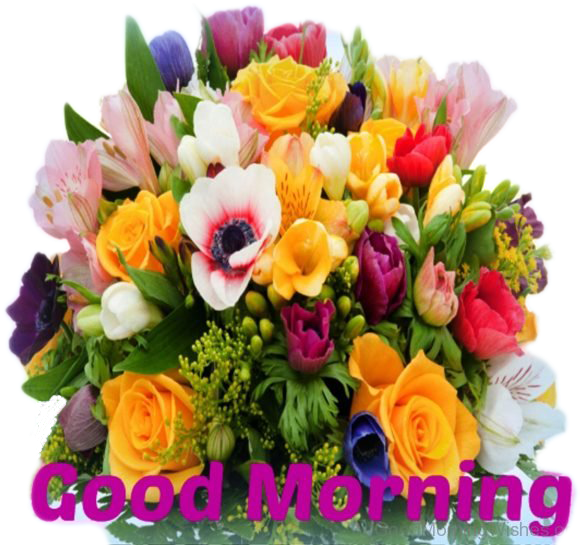Colorful Good Morning Floral Greeting PNG