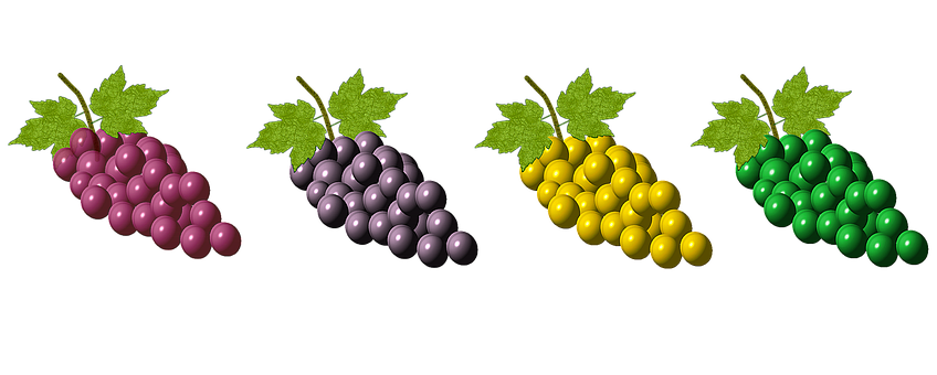 Colorful Grape Bunches Array PNG