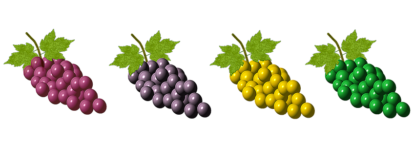 Colorful Grape Bunches Variety PNG