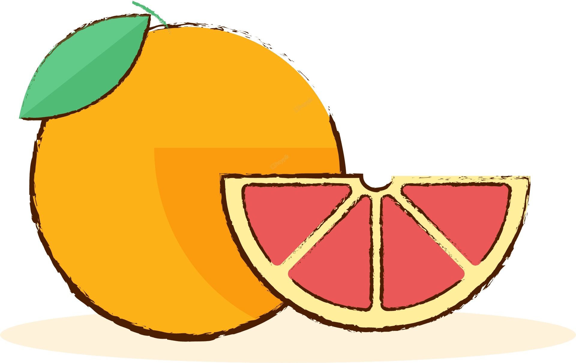 Colorful Grapefruit Illustration PNG
